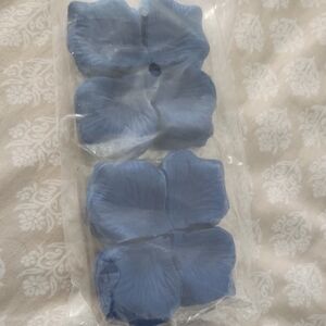 Blue Flower Petals